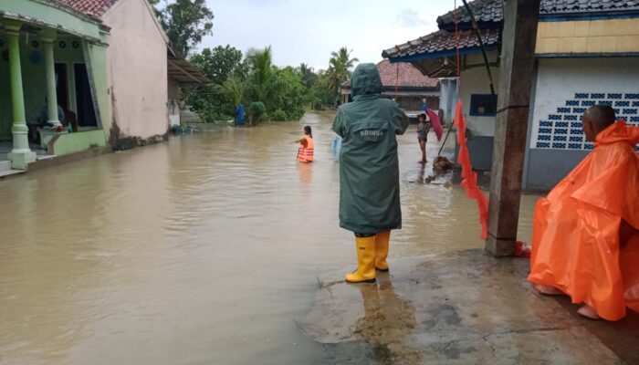 Potret Banjir Musiman Rendam 500 Hektare Sawah di Tegalbuleud