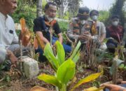 Fakta Lengkap Kasus Infeksi Cacing Akut yang Menewaskan Balita di Sukabumi